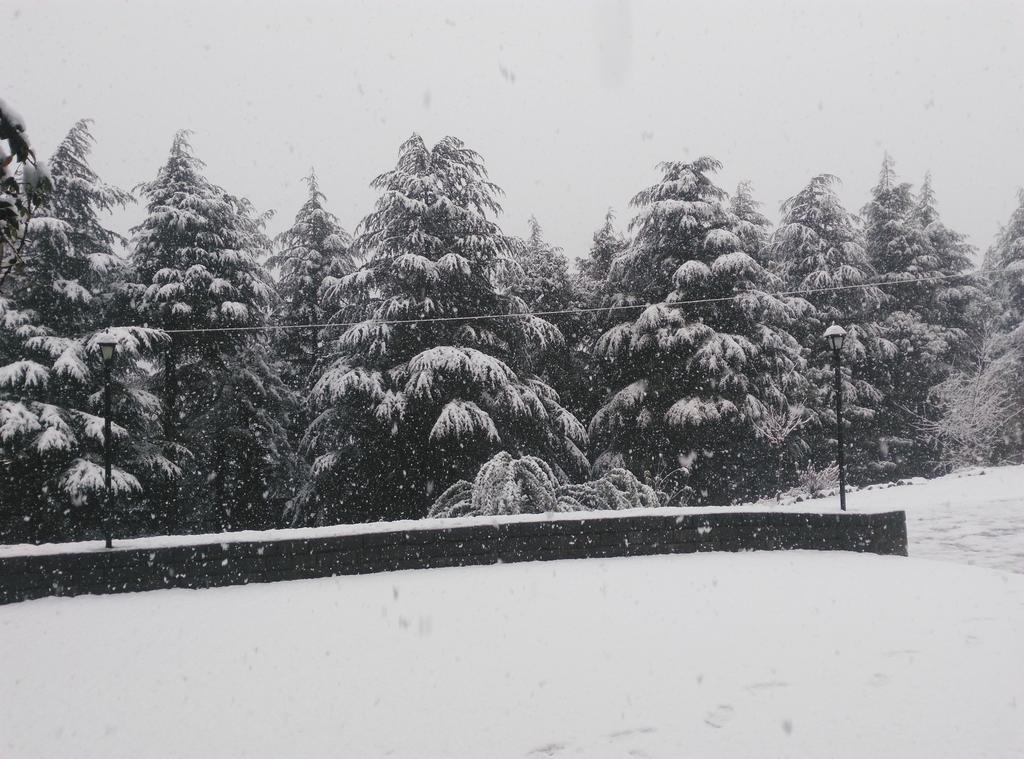 Woodsmoke Retreat Hotel Shimla Buitenkant foto